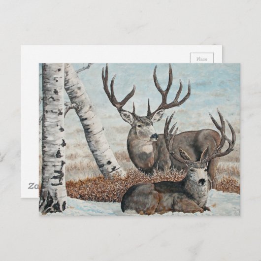 Snowy ridge bucks briefkaart (Voorkant / Achterkant)