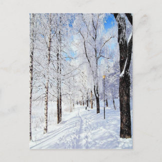 Snowy Road Briefkaart