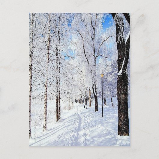 Snowy Road Briefkaart (Voorkant)