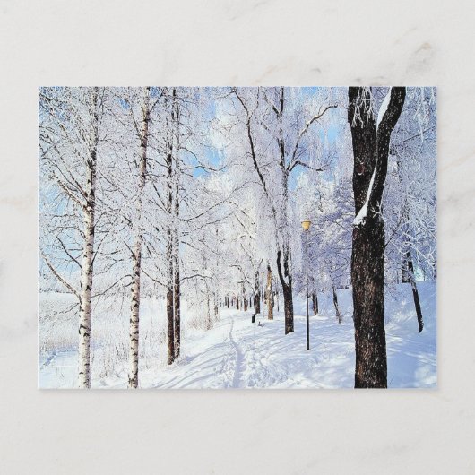 Snowy Road Briefkaart (Voorkant)