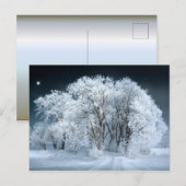 Snowy Road door Frosted Trees Briefkaart (Voorkant / Achterkant)