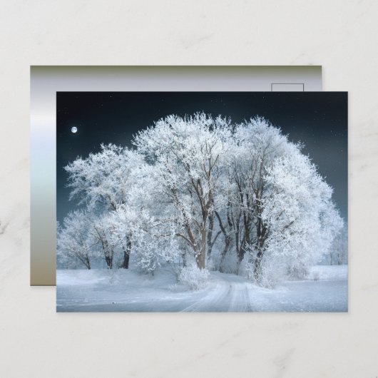 Snowy Road door Frosted Trees Briefkaart (Voorkant / Achterkant)