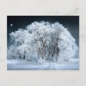 Snowy Road door Frosted Trees Briefkaart (Voorkant)
