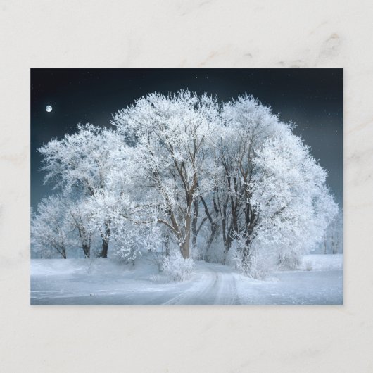 Snowy Road door Frosted Trees Briefkaart (Voorkant)