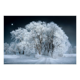 Snowy Road door Frosted Trees Perfect Poster