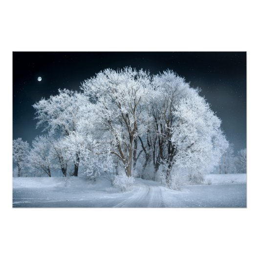 Snowy Road door Frosted Trees Perfect Poster (Voorkant)
