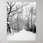 Snowy Road Poster (Voorkant)