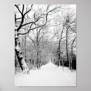 Snowy Road Poster