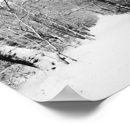 Snowy Road Poster (Hoek)