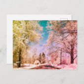 Snowy road Vermont 1 Briefkaart (Voorkant / Achterkant)