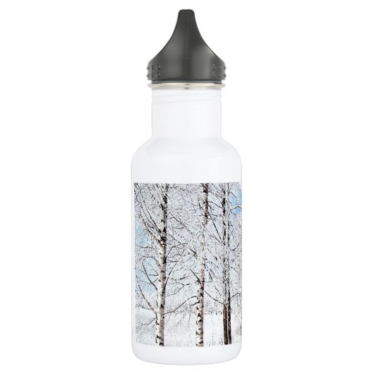 Snowy Road Waterfles (Links)