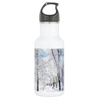 Snowy Road Waterfles