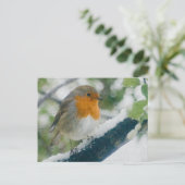 Snowy Robin Briefkaart (Staand voorkant)