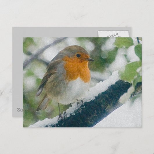 Snowy Robin Briefkaart (Voorkant / Achterkant)
