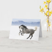 Snowy Romp Horse Wenskaart Kaart (Gele Bloem)