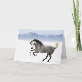 Snowy Romp Horse Wenskaart Kaart