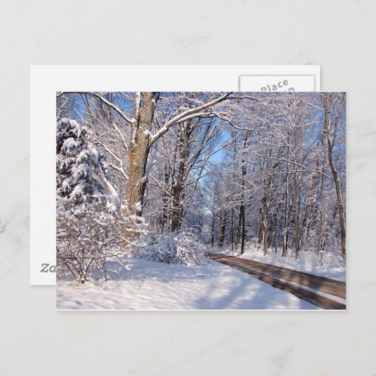 Snowy Rural Michigan Briefkaart (Voorkant / Achterkant)