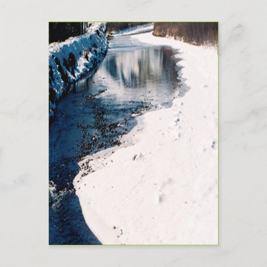 Snowy Salmon Idaho Briefkaart (Voorkant)