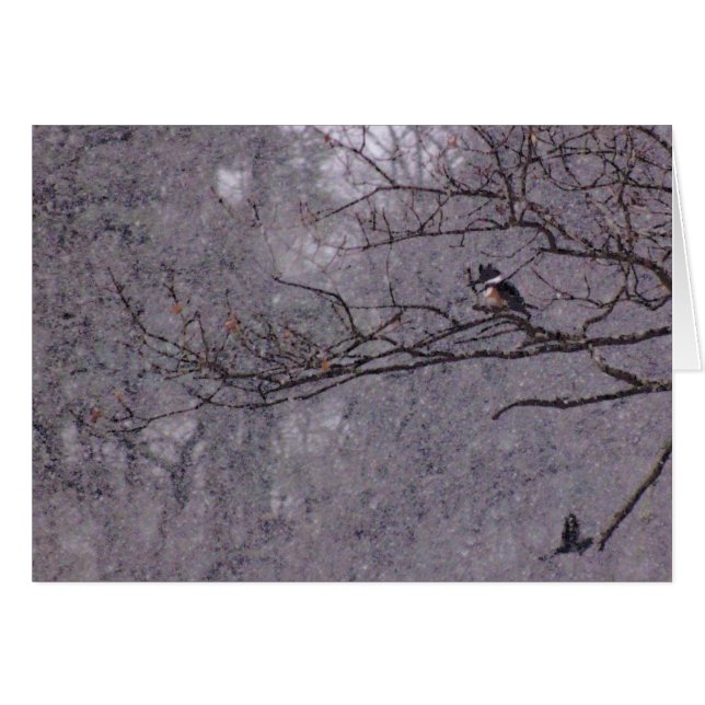 Snowy Scene (Voorkant Horizontaal)