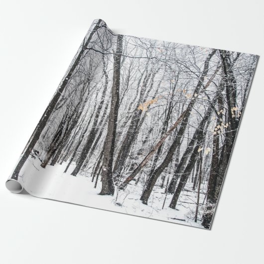 Snowy Scene in Woodland Michigan Cadeaupapier (Uitgerold)
