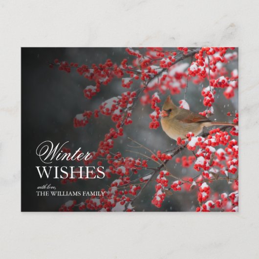 Snowy Scene met kardinaal en winterberry Briefkaart (Voorkant)