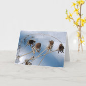 Snowy Seed Head Kaart (Gele Bloem)