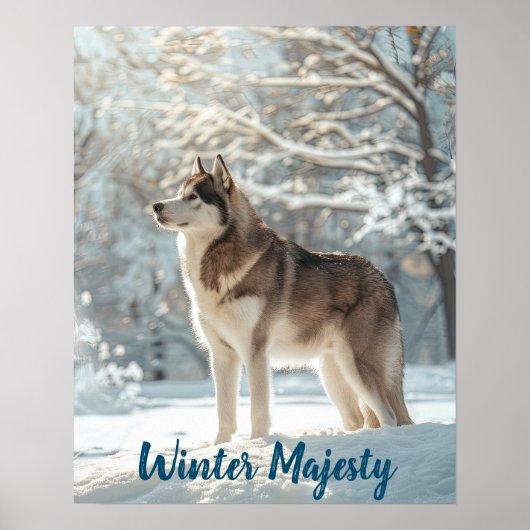 Snowy Sentinel: Alaska Malamute Majesteit Poster (Voorkant)