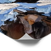 Snowy Serenade: Raccoon's Moonlit Vista Poster (Hoek)