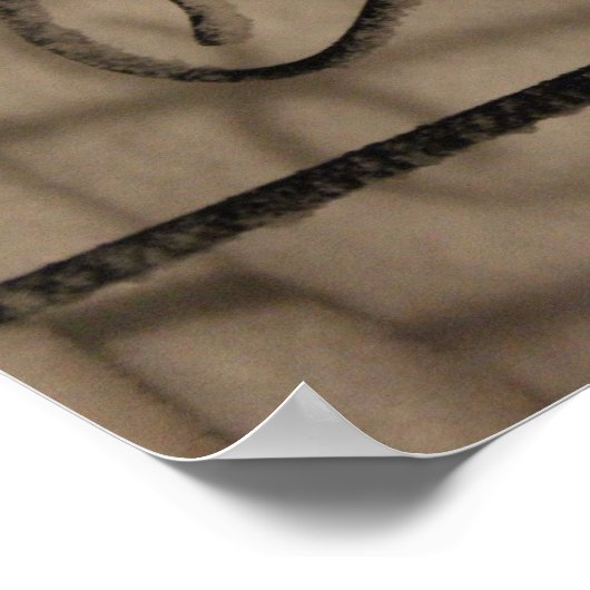 Snowy shadows poster (Hoek)