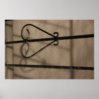 Snowy shadows poster