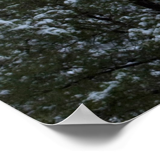 Snowy Snoopy Rock 2854 Poster (Hoek)