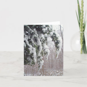 Snowy Spruce Note Kaart