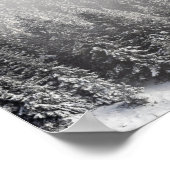 Snowy spruce woud verpakt in mist poster (Hoek)