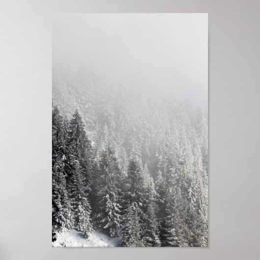 Snowy spruce woud verpakt in mist poster (Voorkant)