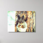 Snowy Squirrel Canvas Afdruk (Voorkant)