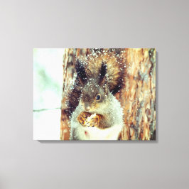Snowy Squirrel Canvas Afdruk