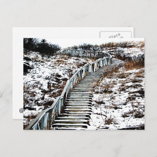 Snowy Staircase Postcard Briefkaart (Voorkant / Achterkant)