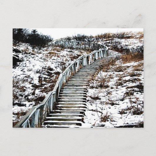 Snowy Staircase Postcard Briefkaart (Voorkant)