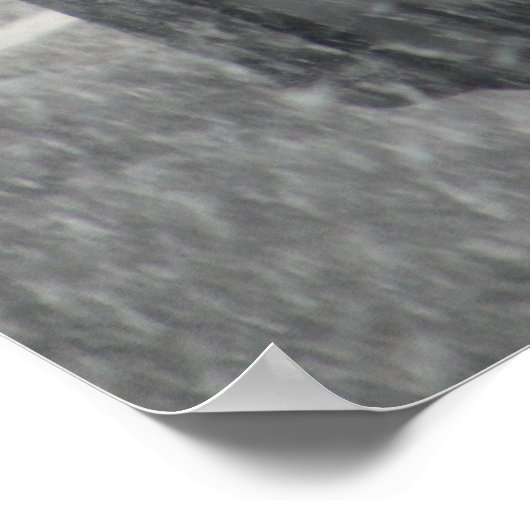 Snowy Stoplight Poster (Hoek)