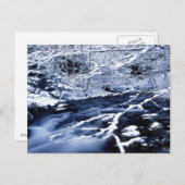 Snowy Stream - Briefkaart (Voorkant / Achterkant)
