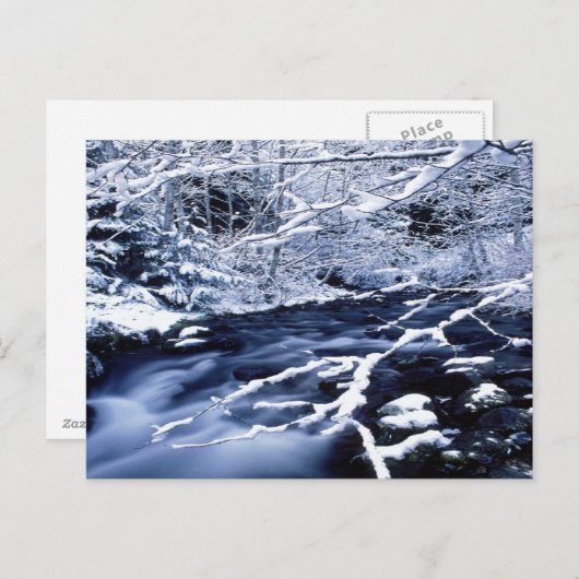 Snowy Stream - Briefkaart (Voorkant / Achterkant)