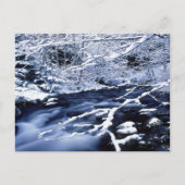 Snowy Stream - Briefkaart (Voorkant)