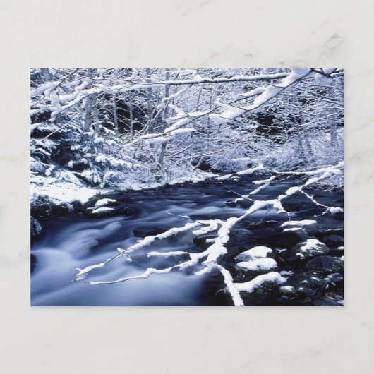 Snowy Stream - Briefkaart (Voorkant)