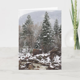 Snowy Stream Holiday wenskaart Feestdagen Kaart