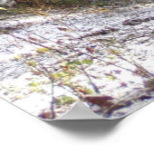 Snowy Sunlit Forest Glade Poster (Hoek)