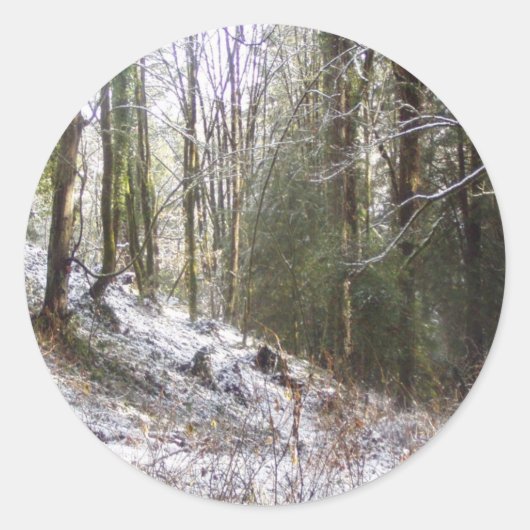 Snowy Sunlit Forest Glade Ronde Sticker (Voorkant)