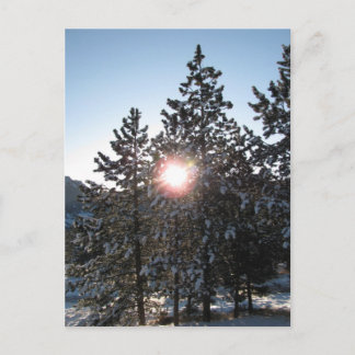 Snowy sunrise in Colorado Briefkaart
