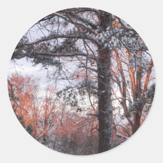 Snowy Sunrise Winter Sneeuw Pine Tree Foto Ronde Sticker (Voorkant)