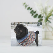 Snowy Sweater Pug Briefkaart (Staand voorkant)