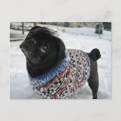 Snowy Sweater Pug Briefkaart (Voorkant)
